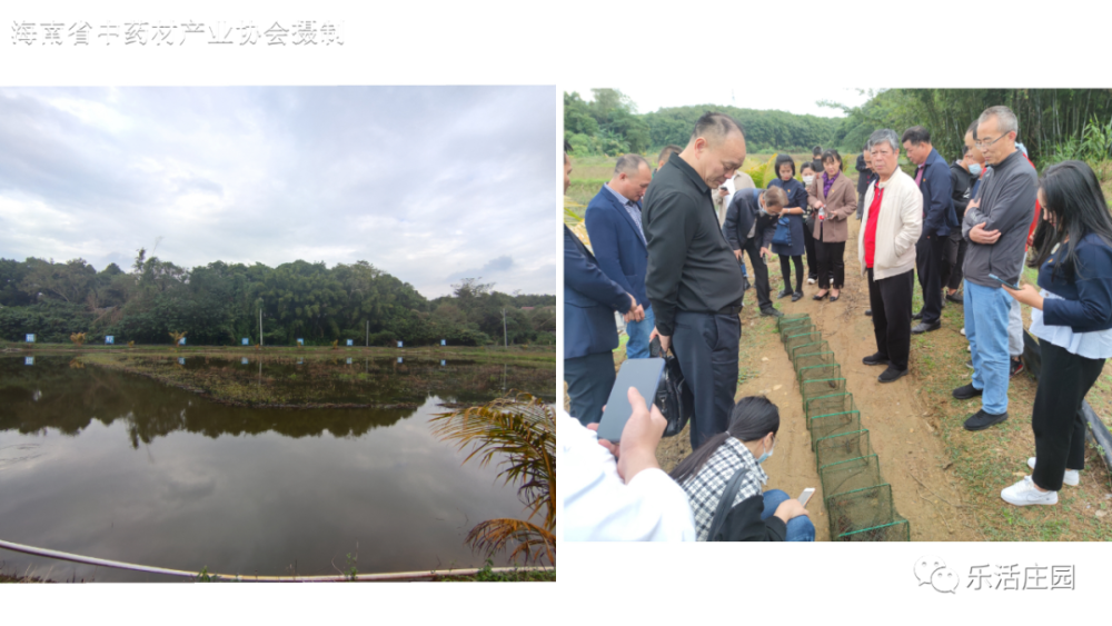 海南省中药材产业协会参加“学党史、践初心、助力乡村振兴”党史学习活动