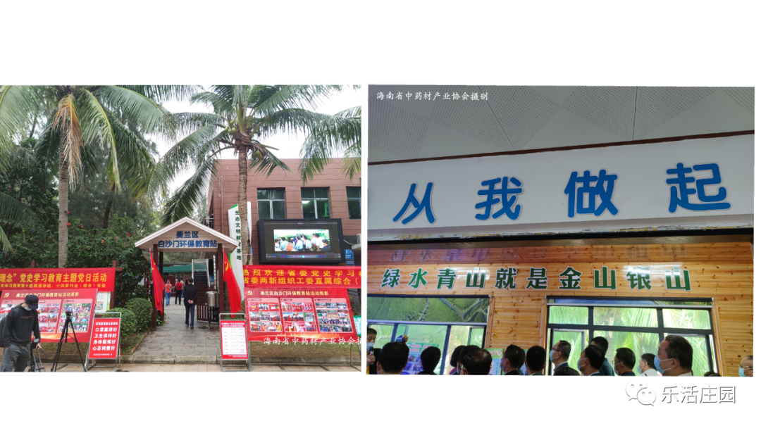 【黎苗药材】海南省中药材产业协会参加“贯彻六中全会精神·践行新发展理念”党史学习